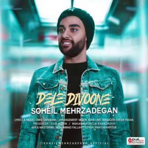 سهیل مهرزادگان دل دیوونه
