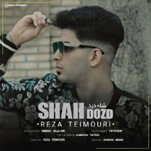 شاه دزد از رضا تیموری 