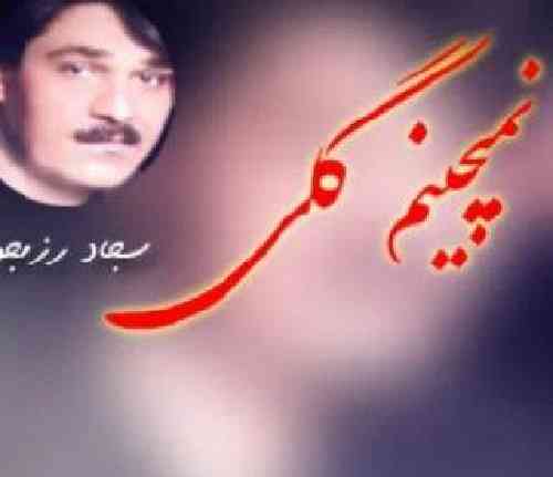 سجاد رزمجو نمیچینم گلی