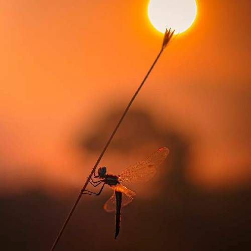 عاشق دل وه بد و خوب چه دونه عاشقسه دنیا مثل زندونه