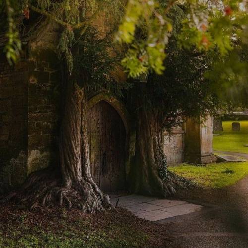  دنیا یک طرف عشقم یک طرف عشق منو تو صادقه بازم