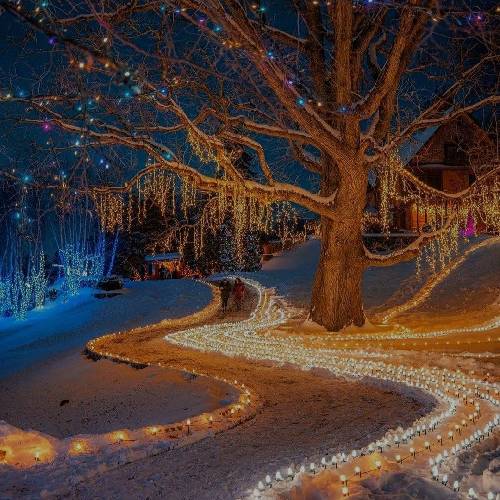  خدایا خود ببین خیلی جوونم دوسال عمرو در بند زندونم