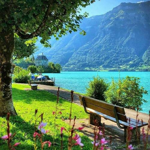  میخندم اما بغض تنگی باهامه خنده تلخب میزنم بازم بیا به دیدنم