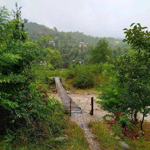 با گیتار فلک مال او برمیگه دل خوش که و دتیا