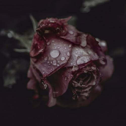  کاش راه دوری بین ما بود کاش سرنوشت ما جدا بود از تو فکر من رها بود