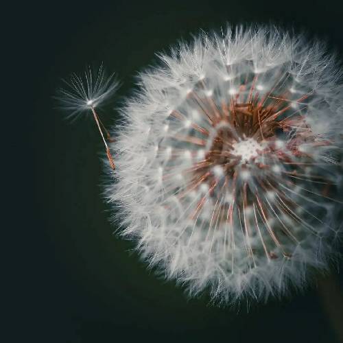  امشب دلم گرفته پر شده چشمم عذاب رفیق بامرامم امشب بیا به خوابم