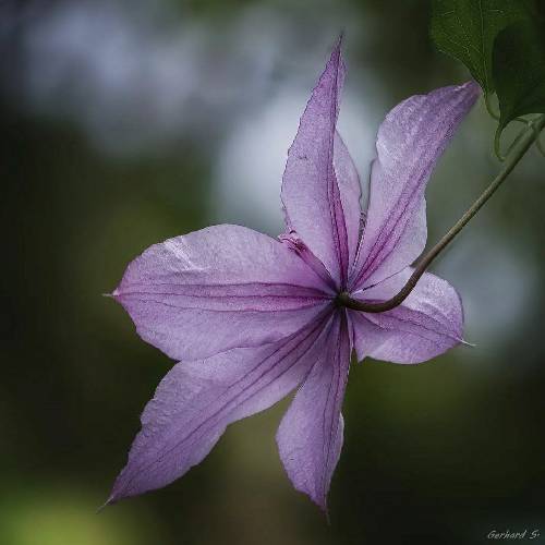  روزگار روزگار چقد نامردی برین و دردی پر بی وفایی