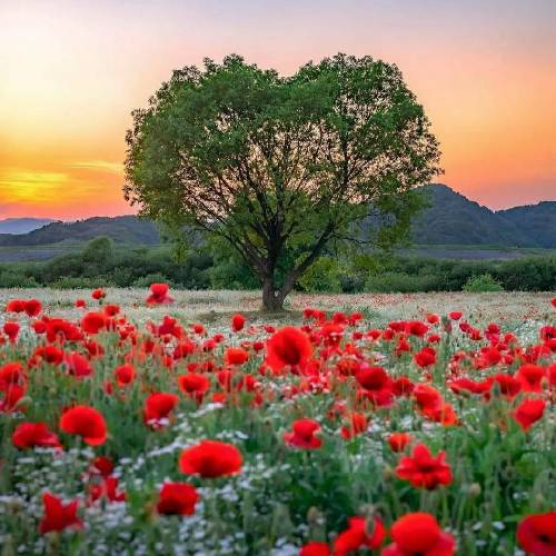  زندگیم سراب میشه بیا ببین که سایم