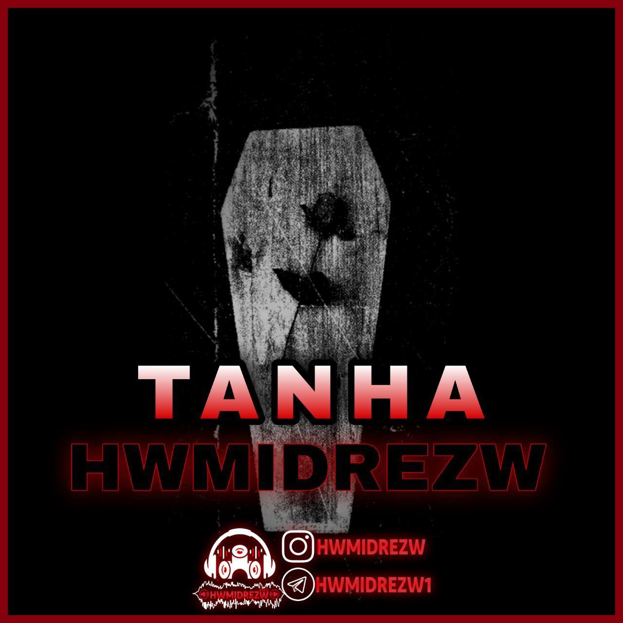 حمیدرضا تنها