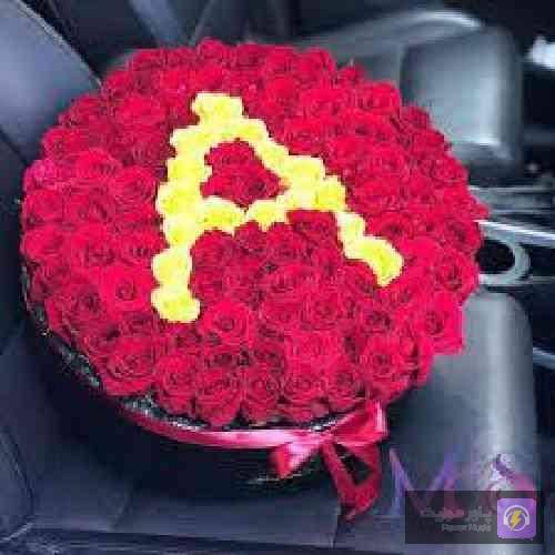  حالا هی برو برگرد بیا تا ببینی خیلی راه مونده تا اینو بفهمی