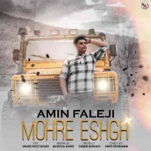 دانلود آهنگ دردی تو درمانی بیود و گیان و دل ارای مرم از امین فالجی