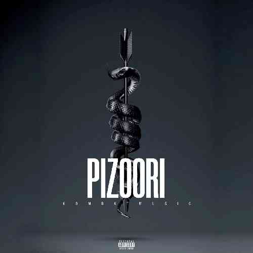 کامبت پیزوری