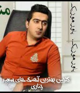 گلچین بهترین آهنگ های سعید چناری به همراه پخش آنلاین