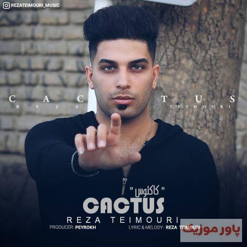 رضا تیموری کاکتوس