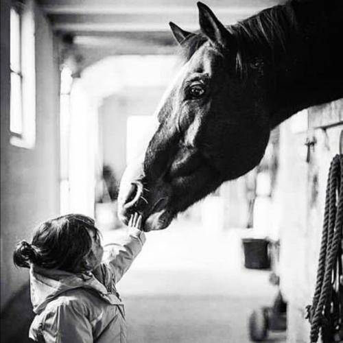 امید کرمی قلبم بلا به دور