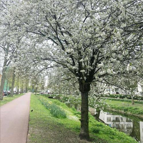 سید وحید موسوی بیا جونم