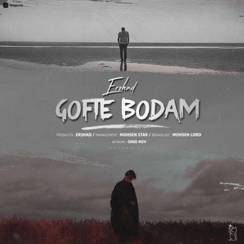 ارشاد گفته بودم