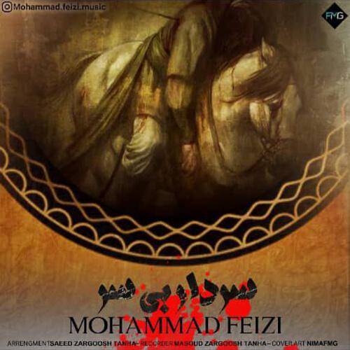 محمد فیضی سردار بی سر