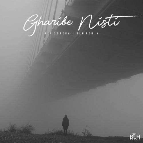 علی سورنا غریبه نیستی