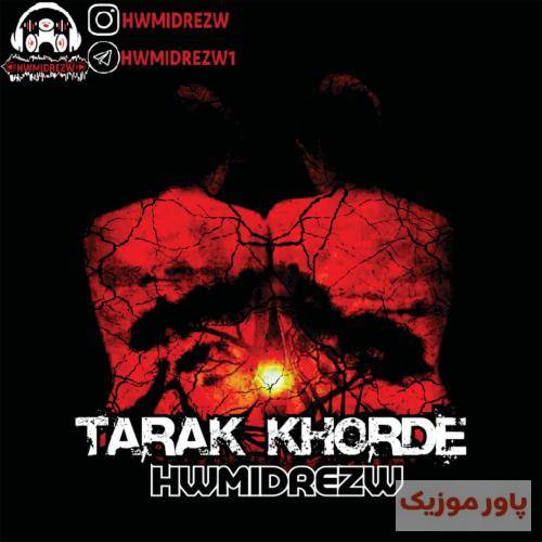 حمیدرضا ترک خورده