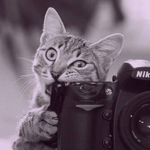 تو خیلی حالیته حالیته حالیته