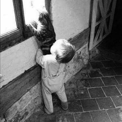 علی شهرآبادی براری دارمه