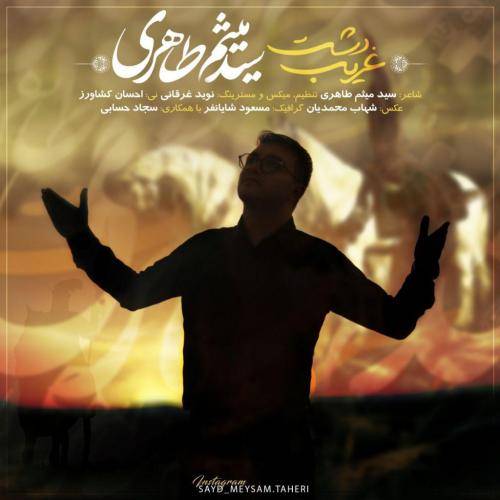 میثم طاهری دشت غریب