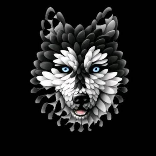 تو خودت حکمی خودت باش