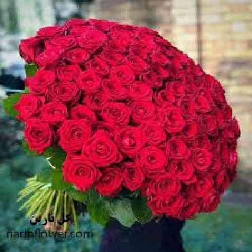 عرفان پند خود دیور نگر وقلب مه