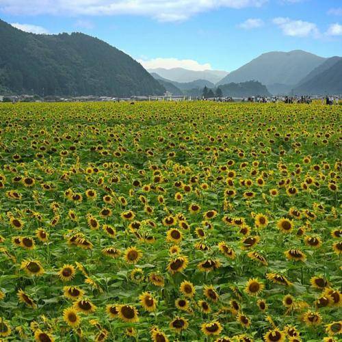 اومدی پ کجا ماهیگیری شک نکن أ اینجا تو خالی میری