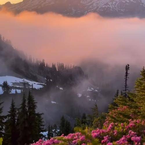 عبدالرضا حصاری مجنون