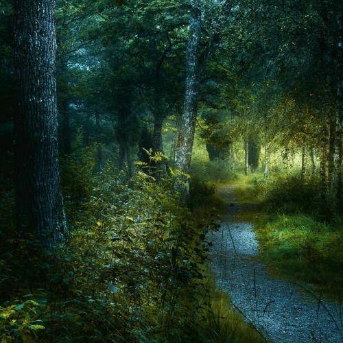  من که هر روز میمیرم اصلا بمیرم هم الان