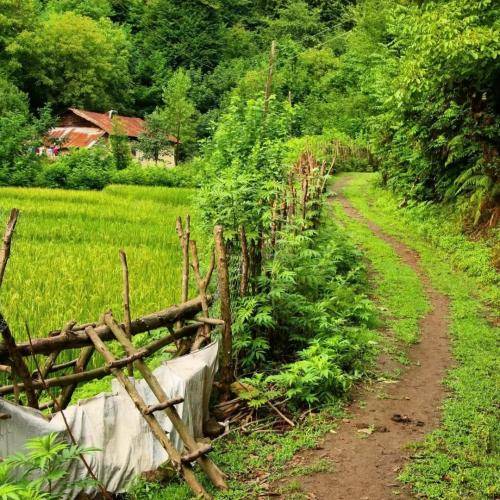 فرداد انصاری عطر موهات