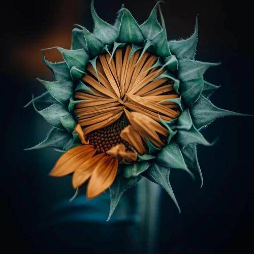 آبراهام هی لعنت به این روزگار بد دلم گرم تو بود