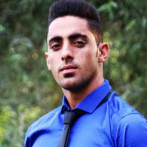 علی عزیزپور گرون قیمت