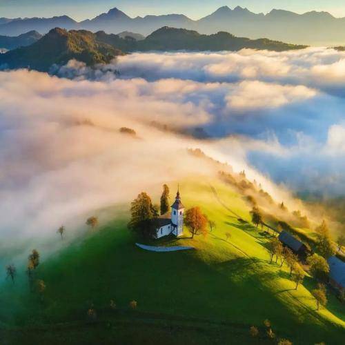 هادی رحیمی گلا من