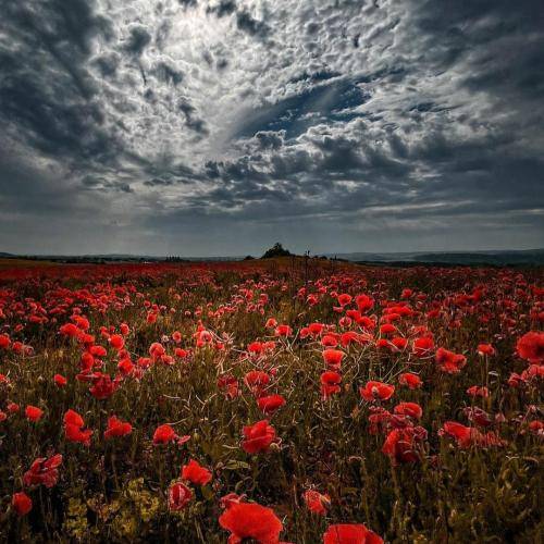 نه من خدای کسی نه کسی خدامه