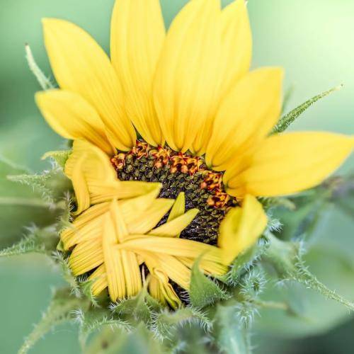  قصه ی من جراتم بود که دلیل محکم قدرتم شد