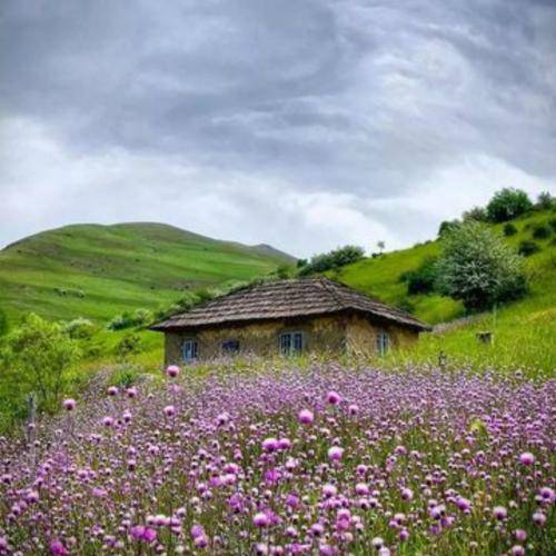  قصه ی من پرواز بود ولی فشاری رو زیریم نبود