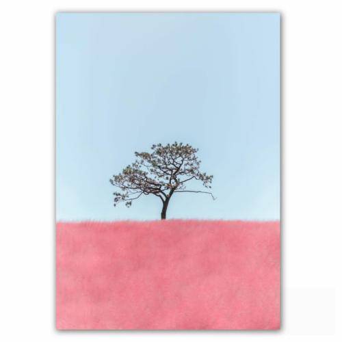 بیدل برزویی حالا که میری چیزی نمیگم دوستم نداری