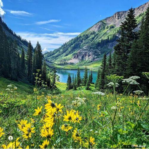 هَوال ابراهیم تو عزیز دل منی دل من تو شاه و فرماندار منی 