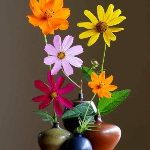 سجاد حسینی یار گریا