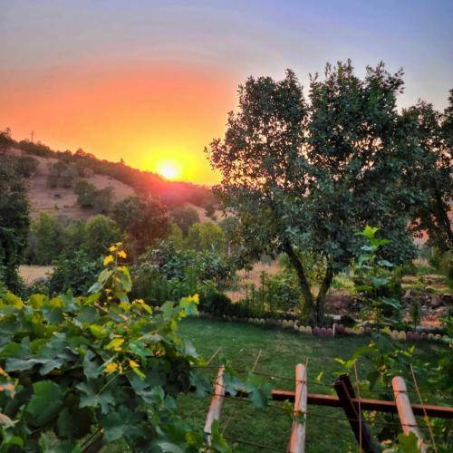  سنگین تره هر دفعه گره ها لول آپ