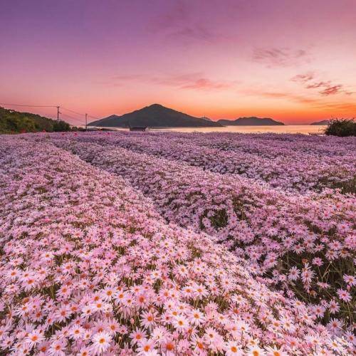 عبدالرضا حصاری بیچاره و خسته ام دارم میرم از دست