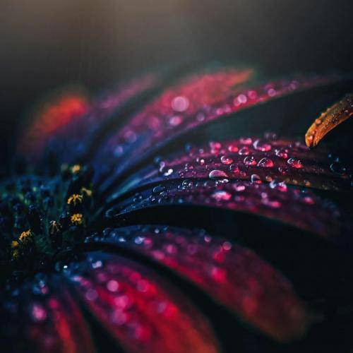 هادی رحیمی خدا نگیره از من تو را