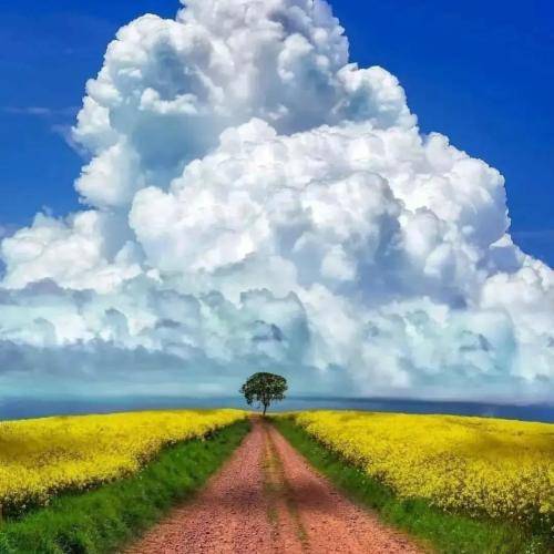  وقتی به این فکر میکنم الان لب هات رو لباشه