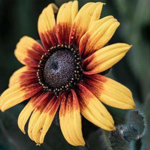  دستاتو گرفتم گفتم جات تو قلبم ثابته