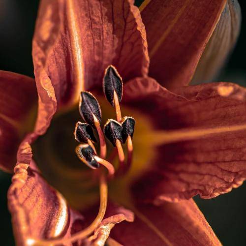  ولی تو امروزو نمیدیدی و هی میگفتی فردا چی