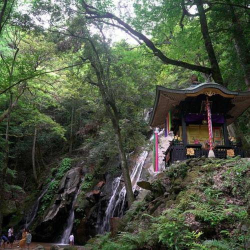  بگو بهش اینجا یه مردی هست که دیوونست