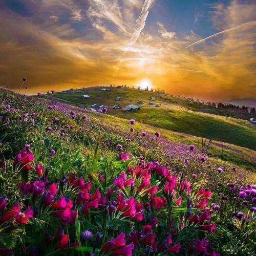 ناصر عباسی دل ته راضیه به این جدایی